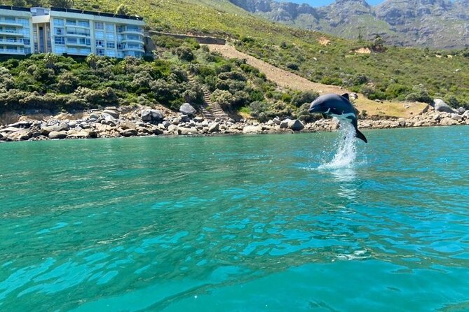 Guided Kayaking in Hout Bay - Getting set up with included equipment