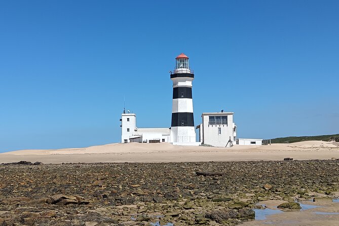 Guided Port Elizabeth Coastal Tour - Why this Port Elizabeth route works