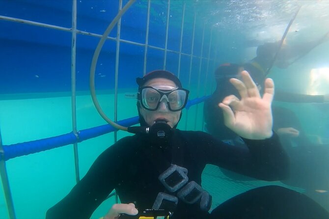 Guided Shark Cage Diving with Hookah Air Supply in Gansbaai - Starting early at 9 Kus Drive in Gansbaai
