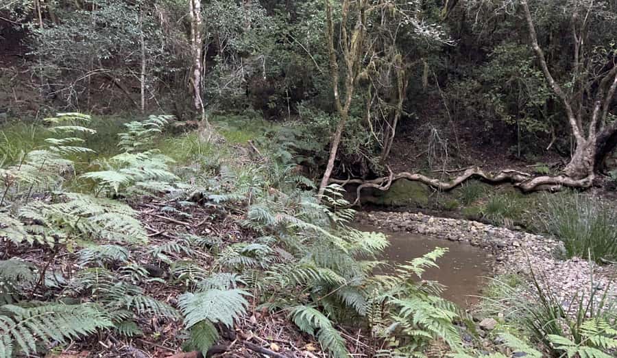 Guided Wildlife Tour and Forest Walk with Lunch Platter - Key points to know before booking