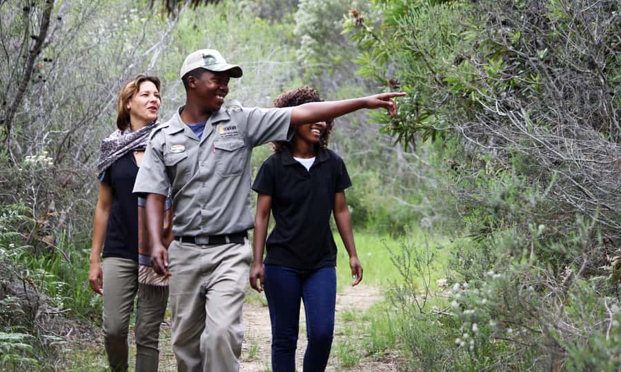 Guided Wildlife Tour and Forest Walk with Lunch Platter - Two sides of Tenikwa in one four-hour visit