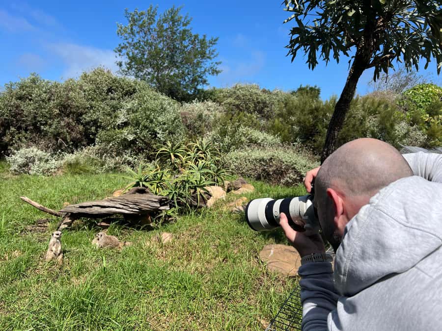 Guided Wildlife Tour and Forest Walk with Lunch Platter - The lunch platter and mid-tour break