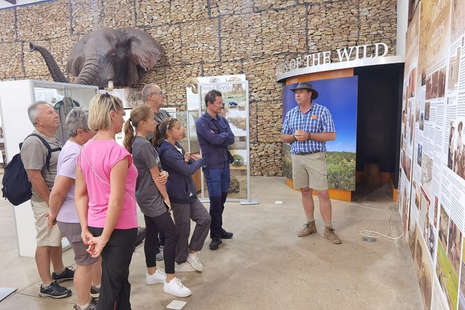 Half-Day Addo Elephant National Park - What you might see beyond elephants