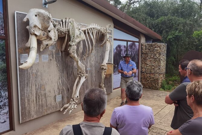 Half-Day Addo Elephant National Park - Who should book this Addo outing?