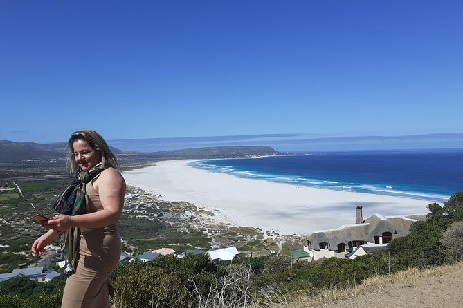 Half day African Penguin Tour - Noordhoek Farm Village as a practical pause