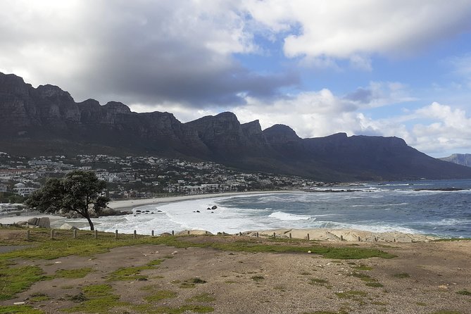 Half day African Penguin Tour - Boulders Beach and the African penguin colony