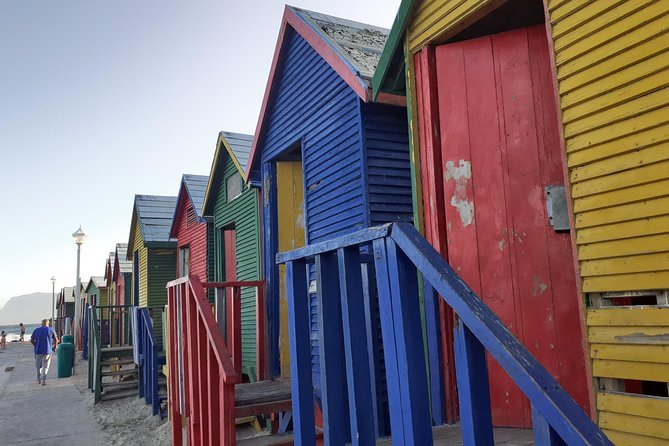 Half day African Penguin Tour - Muizenberg and the return to Cape Town