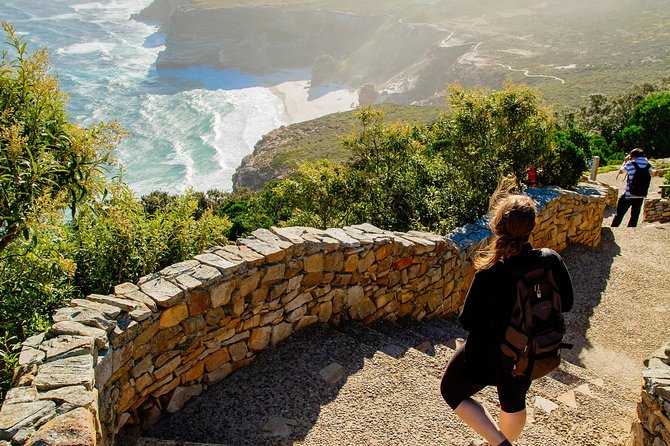Half day am or pm Boulders Beach & Penguins with visit to Cape Point Great tour - Why this half-day Cape Peninsula trip works