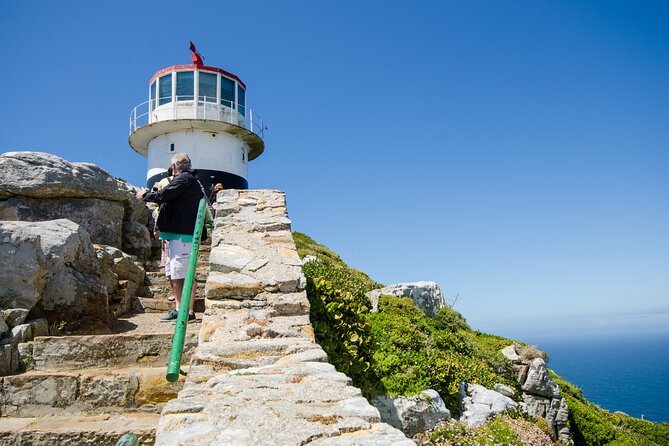 Half day am or pm Boulders Beach & Penguins with visit to Cape Point Great tour - Boulders Beach and its penguin colony