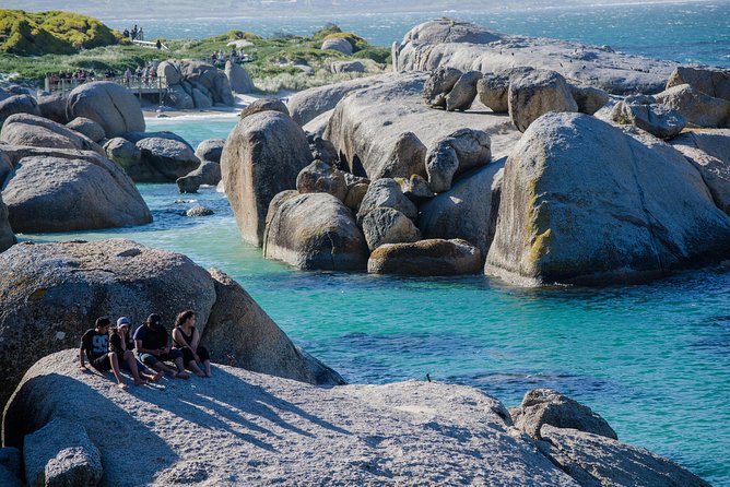 Half day am or pm Boulders Beach & Penguins with visit to Cape Point Great tour - What the guides add to the day