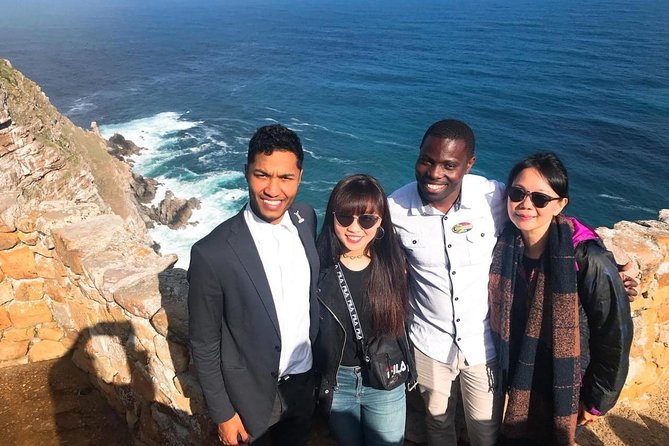 Half Day Boulders Penguins and Cape Point Small Group Tour - Boulders Beach delivers the penguin encounter