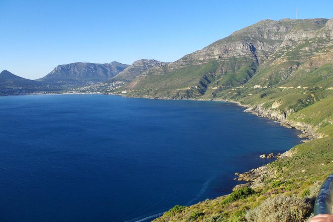 Half-Day Cape Peninsula Tour from Cape Town - Why this short Cape Peninsula trip works