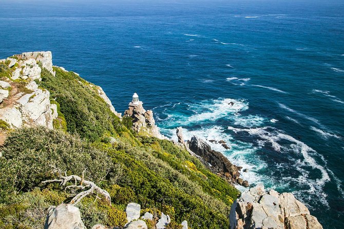 Half-Day Cape Peninsula Tour from Cape Town - Cape Point Nature Reserve in 90 minutes