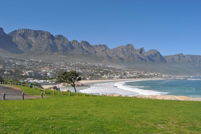 Half day Cape Point Sightseeing Tour with Penguins from Cape Town - Is $86.27 a fair price?