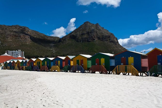 Half day Cape Point Sightseeing Tour with Penguins from Cape Town - Who should book this Cape Point tour?