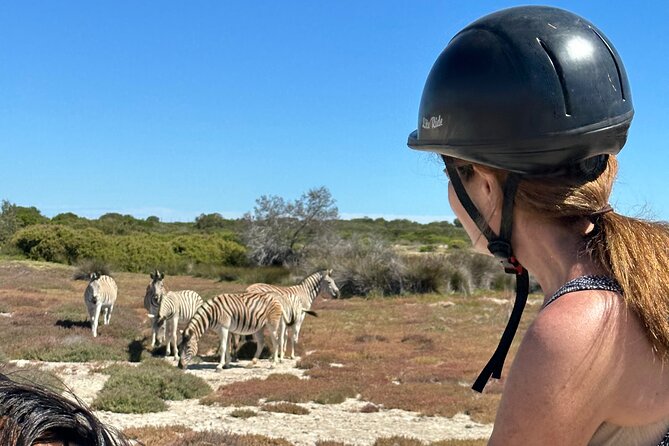 Half day Horse back safari - Riding through the West Coast farms