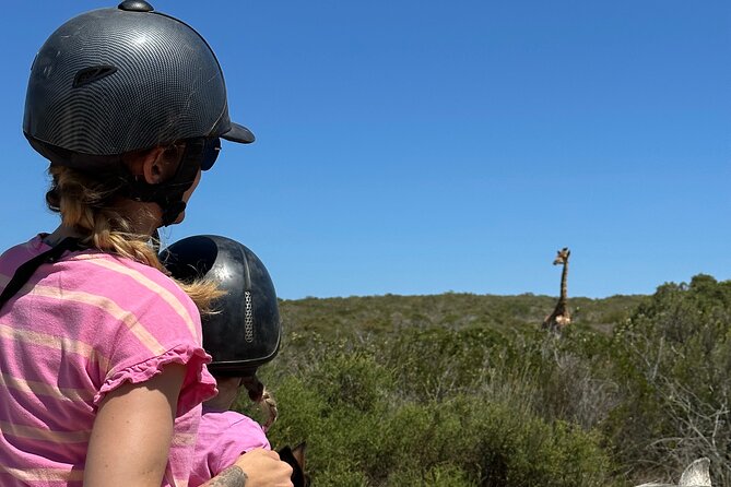Half day Horse back safari - The Atlantic views and the value of going slowly