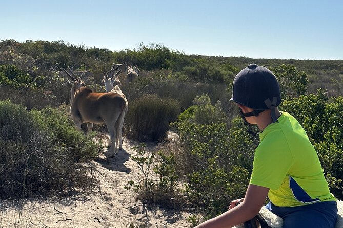 Half day Horse back safari - A cultural stop at !Khwa ttu San Heritage Centre