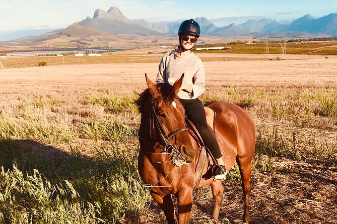 Half Day Horseback Wine Tour - Starting at Vredenheim at 10:00 am