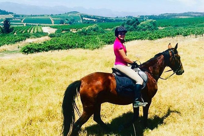 Half Day Horseback Wine Tour - Who should book this horseback wine tour?