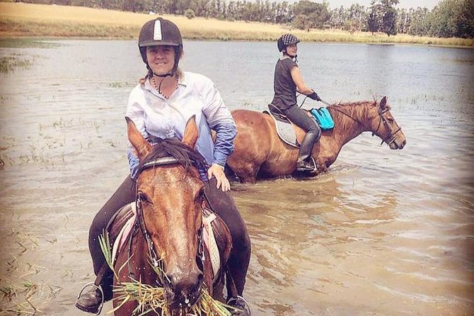 Half Day Horseback Wine Tour - Riding across four Stellenbosch wine farms