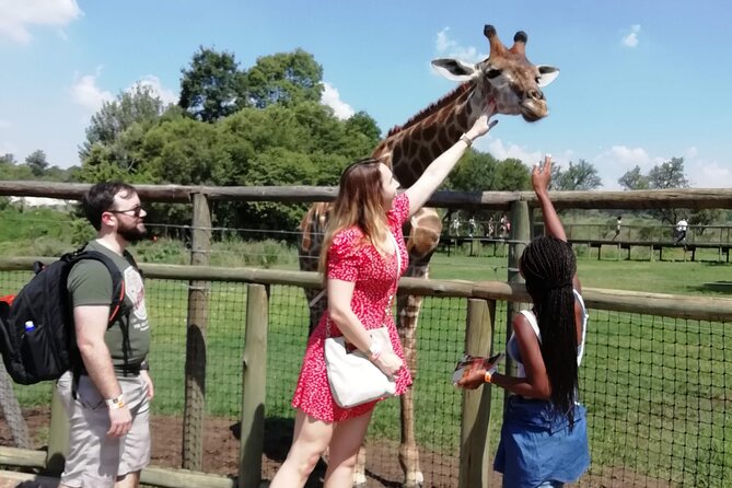 Half-Day Lion and Safari Park Tour - Key Points Before You Book