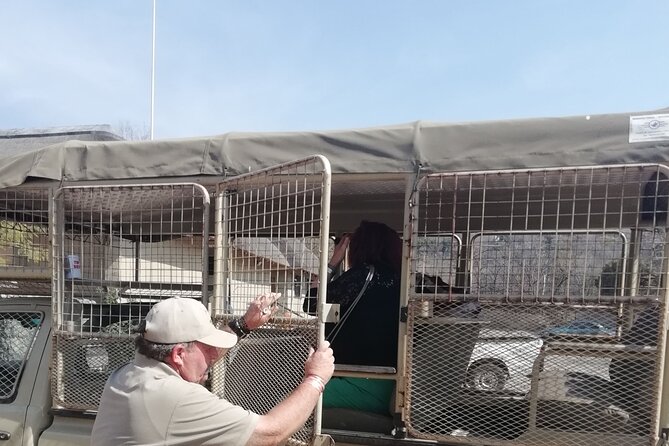 Half-Day Lion and Safari Park Tour - Lunch, Coffee, and Curios in About 30 Minutes