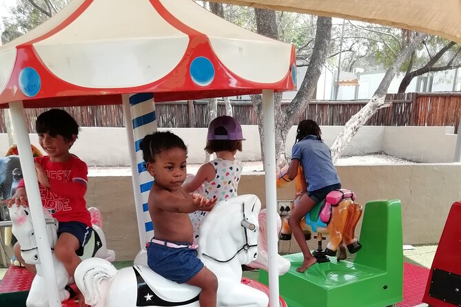 Half-Day Lion and Safari Park Tour - Why Families Often Like This Safari