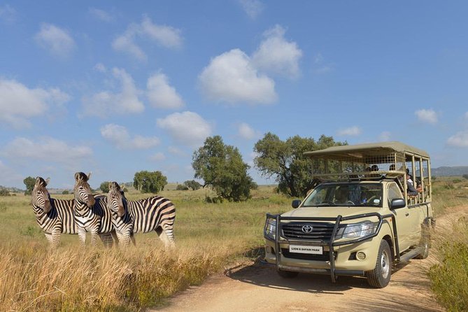 Half Day Lion Park tour from Johannesburg or Pretoria - The two-hour predator drive