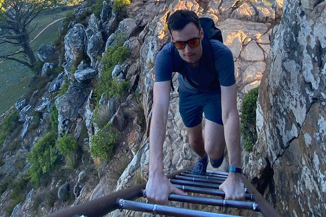 Half-day Lion's Head Hike in Cape Town - Why Lion’s Head is Cape Town’s classic short hike