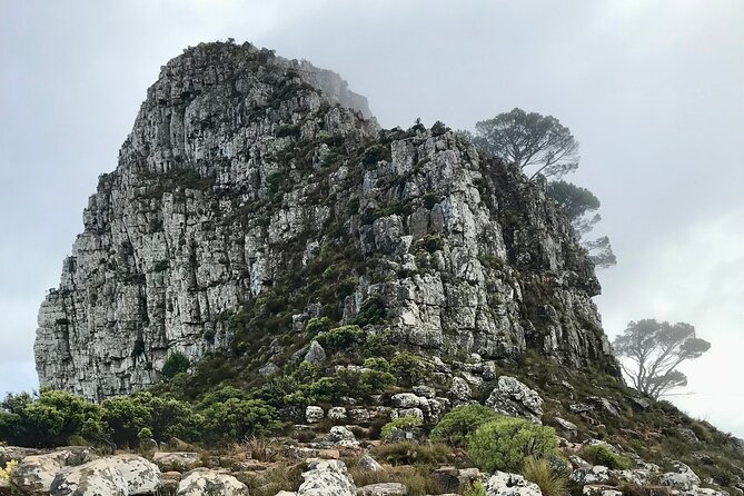 Half-day Lion's Head Hike in Cape Town - Is $60.16 good value?
