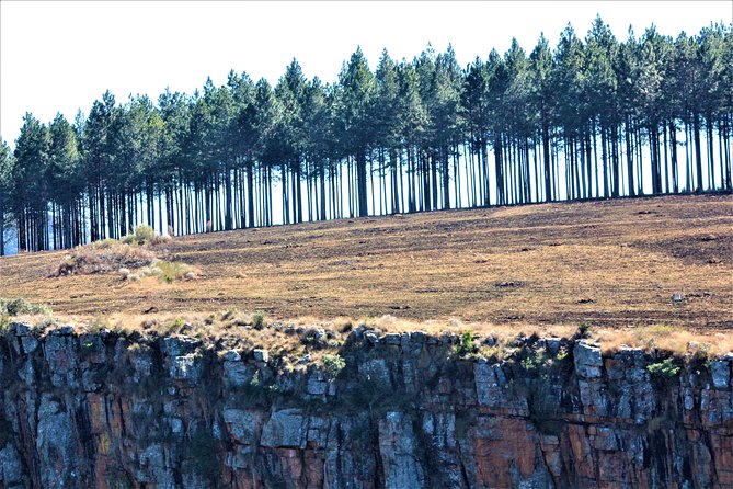 Half Day Panorama Guided Tour - Pinnacle Rock is a brief but unusual final sight