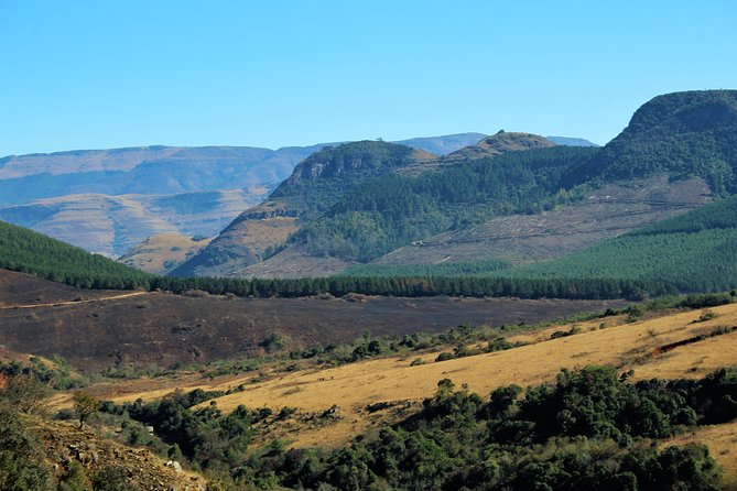 Half Day Panorama Guided Tour - The guide can make or break a short schedule