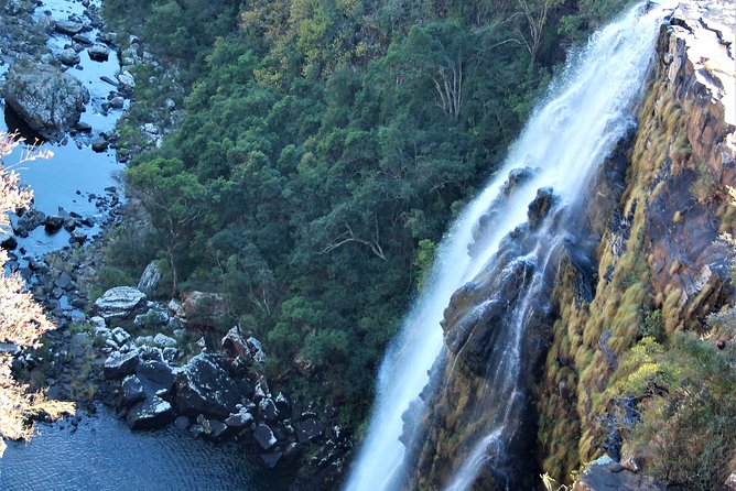 Half Day Panorama Guided Tour - Is $83.14 a fair price?
