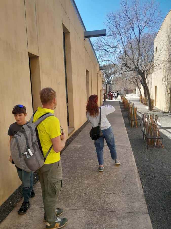 Half Day Private Soweto and Apartheid Museum tour - Comfort, safety, and access