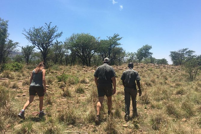 Half Day Safari Tour from Johannesburg - Key points before you book