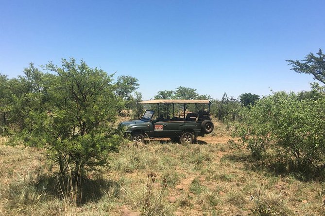 Half Day Safari Tour from Johannesburg - Why the guide matters at Dinokeng