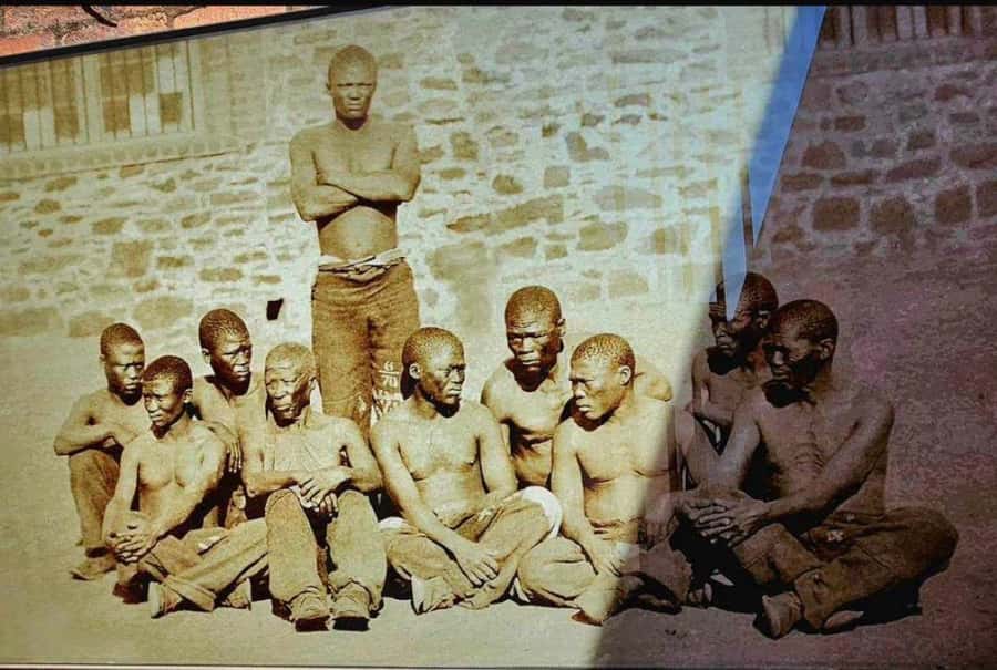 Half Day Soweto and Apartheid Museum Guided Tour - Guides make the difference