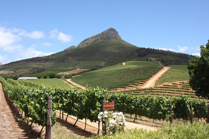 Half-Day Stellenbosch Winelands Tour from Cape Town - A quick look at Stellenbosch town