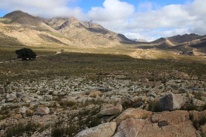 Half-Day Swartberg Pass PRIVATE Tour (including lunch & transfer - Oudtshoorn) - What the walking portion is really like