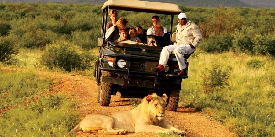 Half Day Tala Game Reserve & Natal Lion Park from Durban - How the experience compares with a single reserve visit