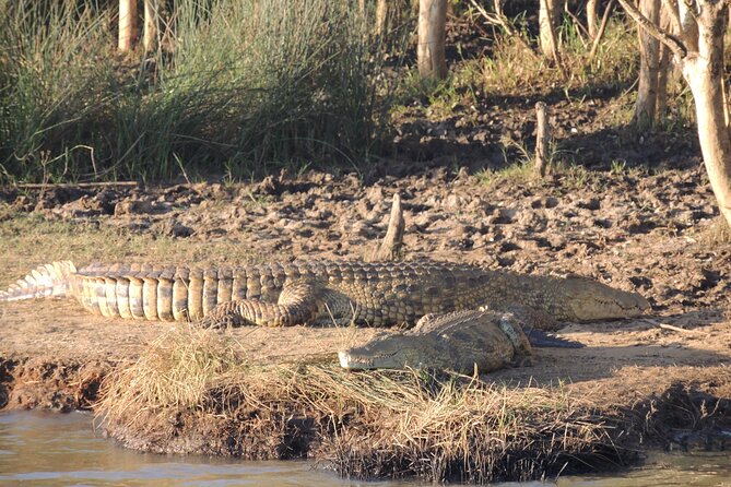 Half Day Tour in iSimangaliso Wetland Park - Who should book this half-day experience?