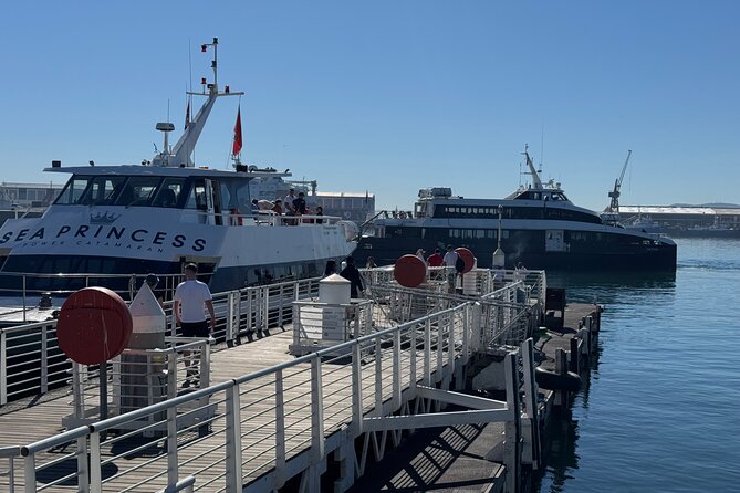 Half-Day Tour to Robben Island with Reserved Tickets. - The African Penguins and Other Island Details