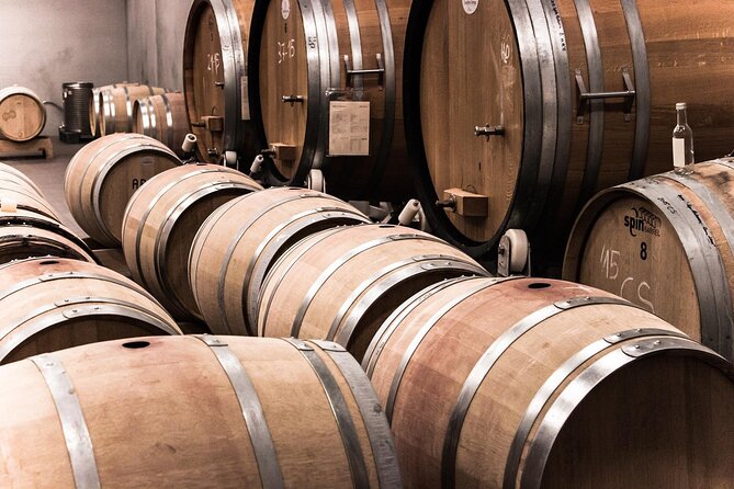 Half Day Wine Tour from Cape Town - The guides are a major part of the experience