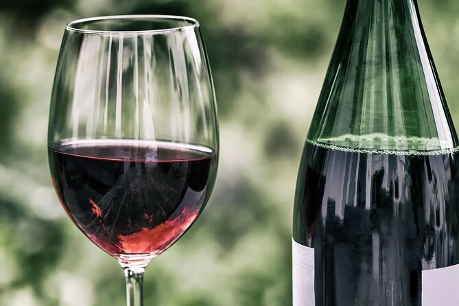 Half Day Wine Tour from Cape Town - Who should book this tour