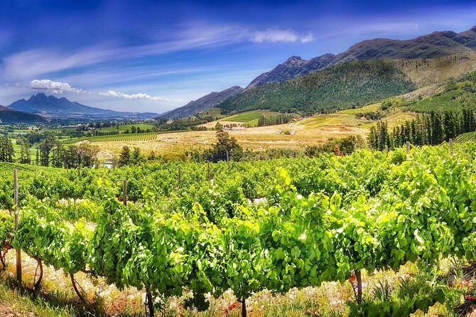 Half Day Wine Tour from Cape Town - Leaving Cape Town and hearing the local story