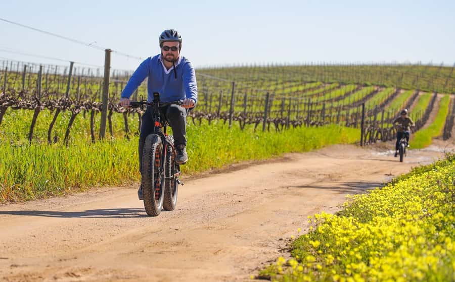 Half-Day Winelands E-Bike Tour with Wine Tasting - Riding through vineyards, hills, and small valleys
