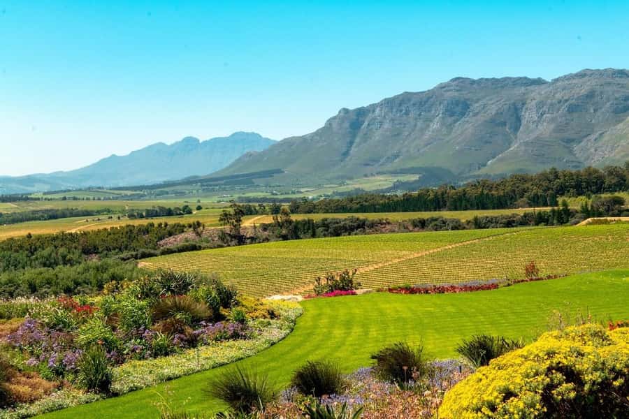 Half-Day Winelands E-Bike Tour with Wine Tasting - Getting comfortable on the e-bike