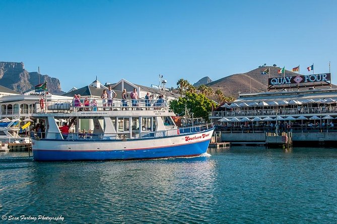 Half Hour Seal and Harbour Cruise from Cape Town - Key points to know before you board