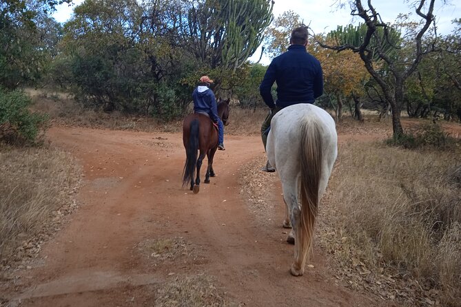 Harties Horse Trail Safari Half day - Key points at a glance